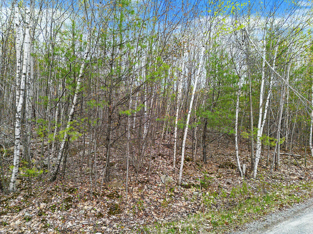 Lot #5 Murdock Place Belgrade ME 04917