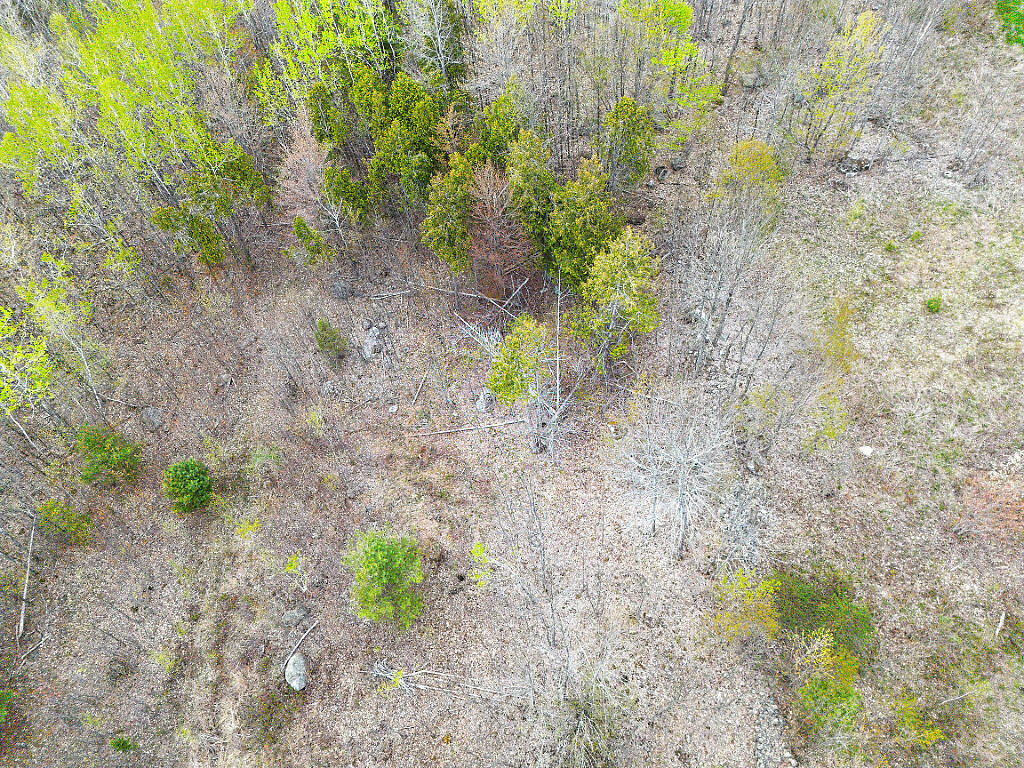 Lot #5 Murdock Place Belgrade ME 04917