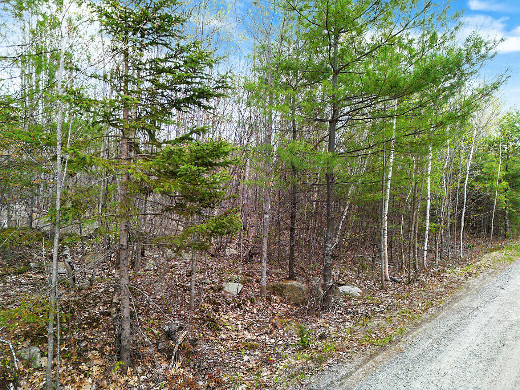 Lot #5 Murdock Place Belgrade ME 04917
