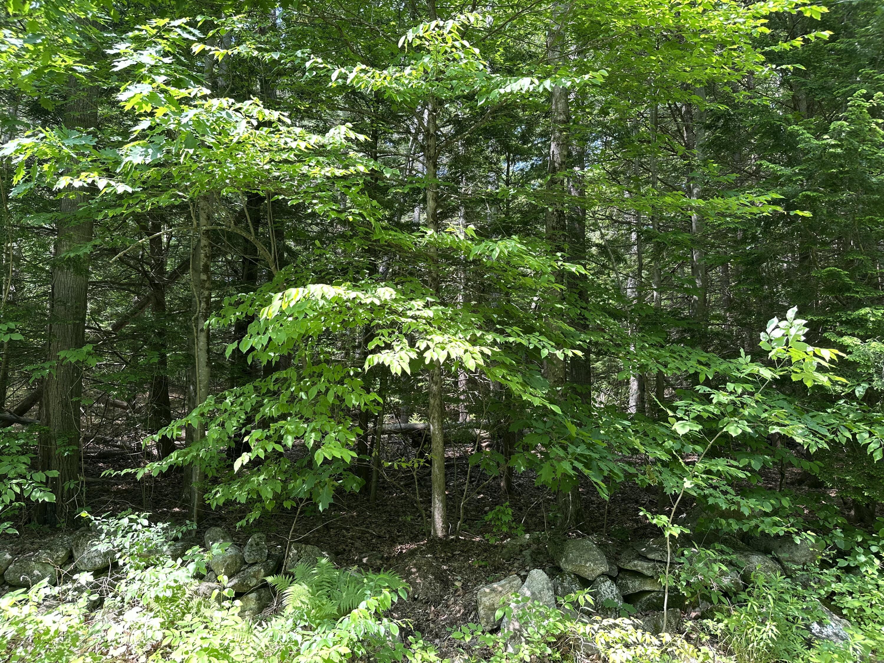 Tbd Dingley Road Bowdoinham ME 04008