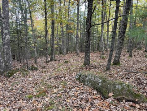 63-3 Oak Grove Road Mount Desert ME 04660