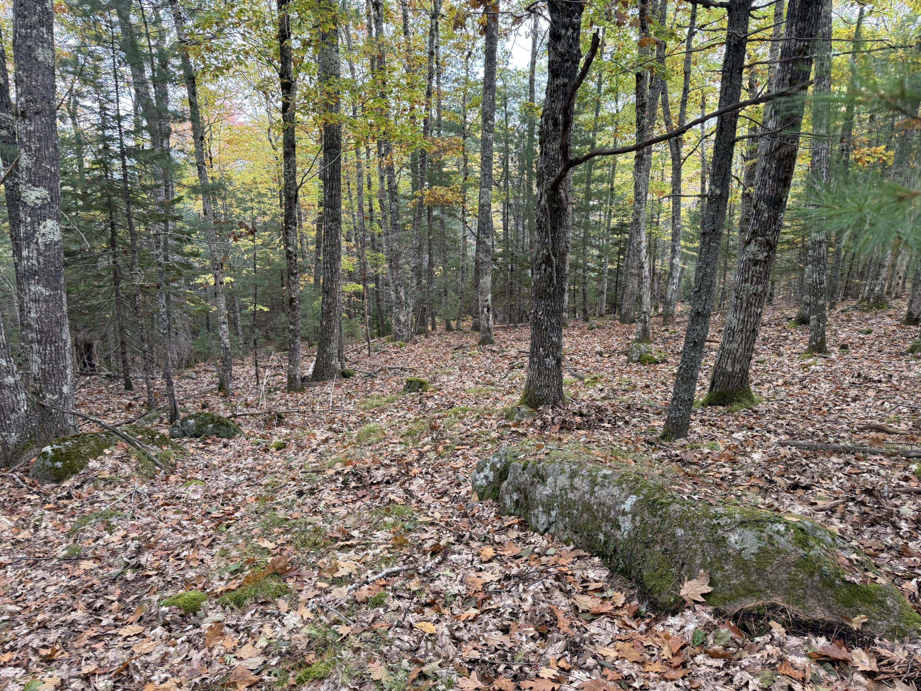 63-3 Oak Grove Road Mount Desert ME 04660