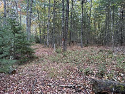 63-3 Oak Grove Road Mount Desert ME 04660