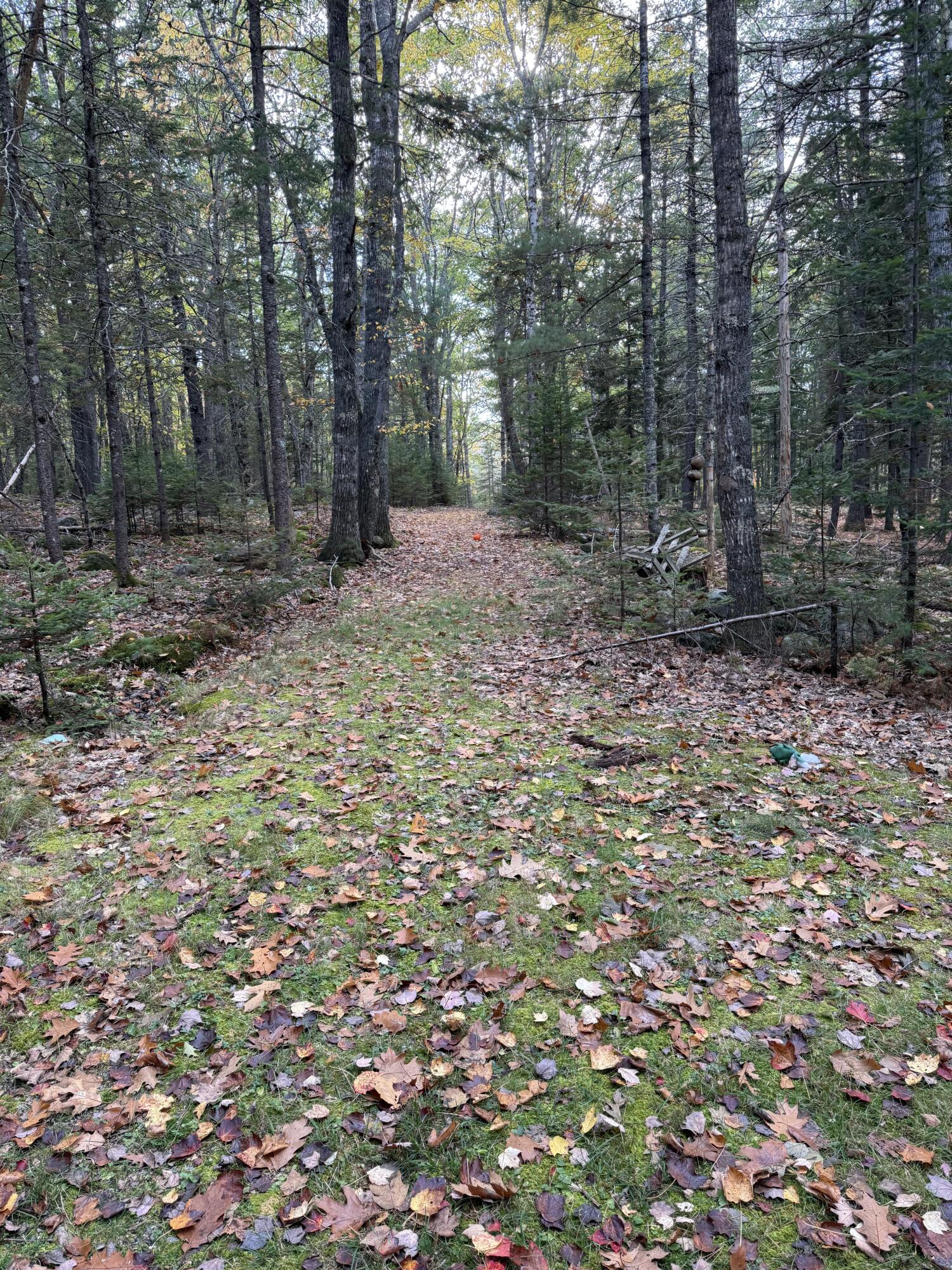 63-3 Oak Grove Road Mount Desert ME 04660