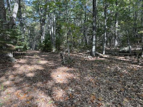 63-3 Oak Grove Road Mount Desert ME 04660