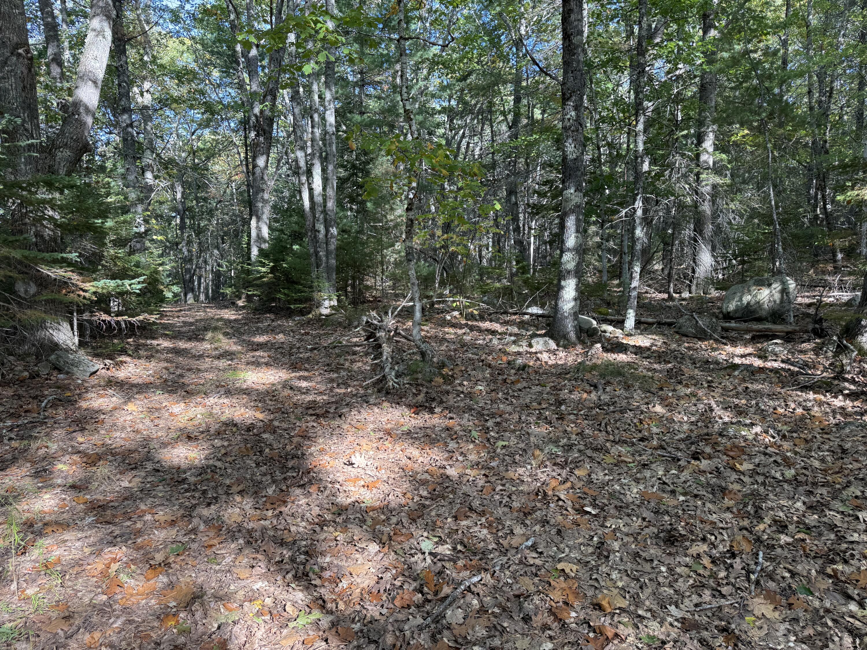 63-3 Oak Grove Road Mount Desert ME 04660