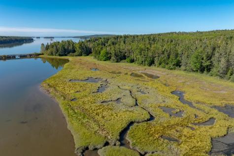 Lot 54 Pinkham Bay Bridge Road Steuben ME 04680