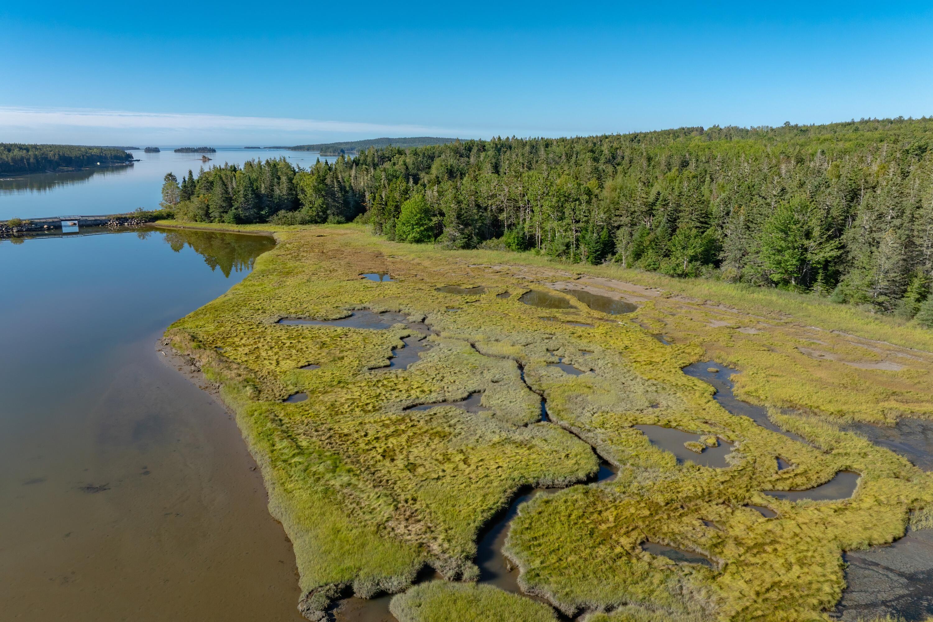 Lot 54 Pinkham Bay Bridge Road Steuben ME 04680