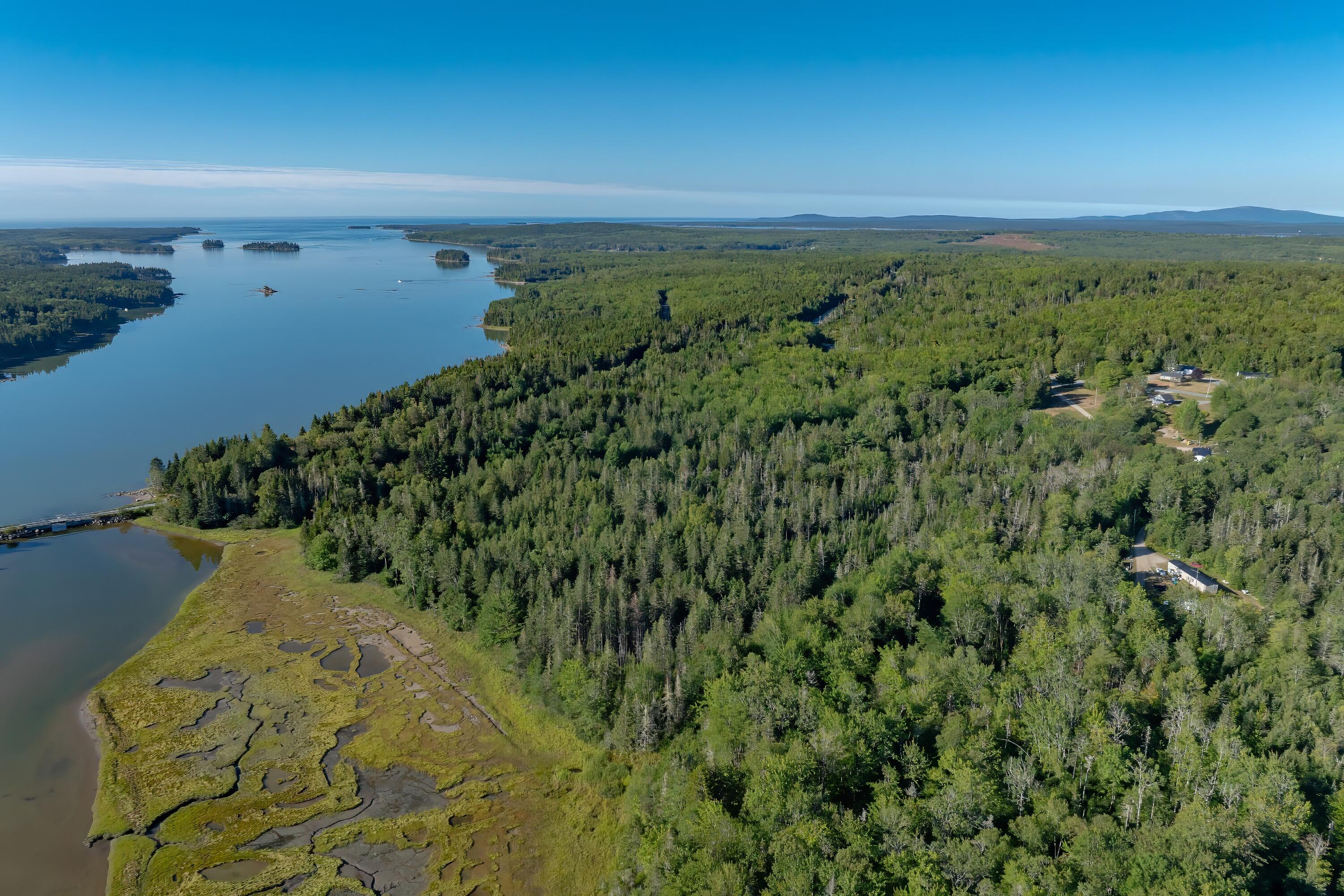 Lot 54 Pinkham Bay Bridge Road Steuben ME 04680