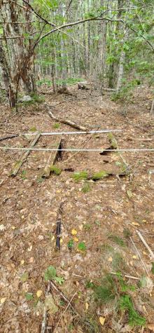 1910 Maine 193 Beddington ME 04622