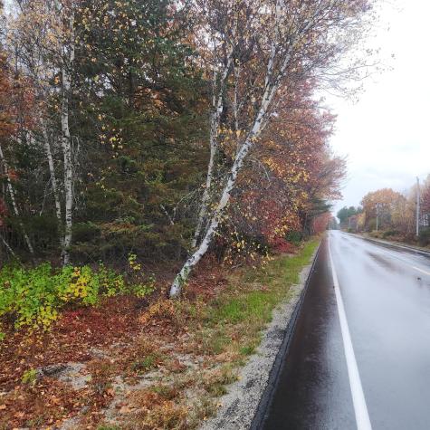 1910 Maine 193 Beddington ME 04622