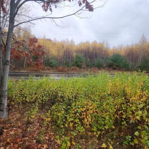 1910 Maine 193 Beddington ME 04622