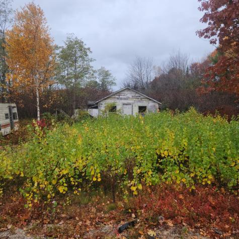 1910 Maine 193 Beddington ME 04622