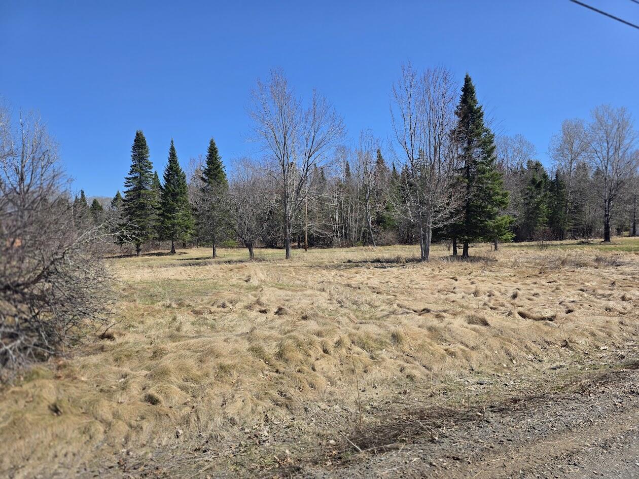 M 19 L 53 Sherman Street Island Falls ME 04747