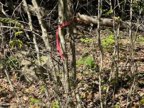 Lot #5 Bonnie Way Winterport ME 04496