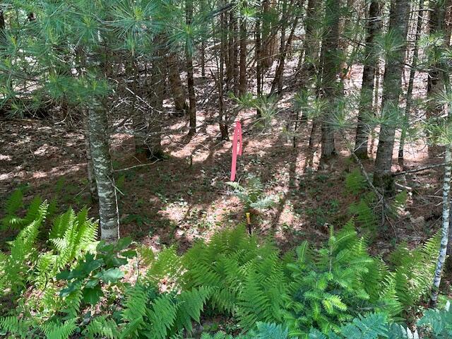 Lot #5 Bonnie Way Winterport ME 04496