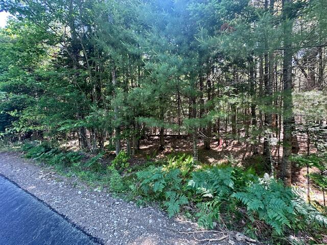 Lot #5 Bonnie Way Winterport ME 04496