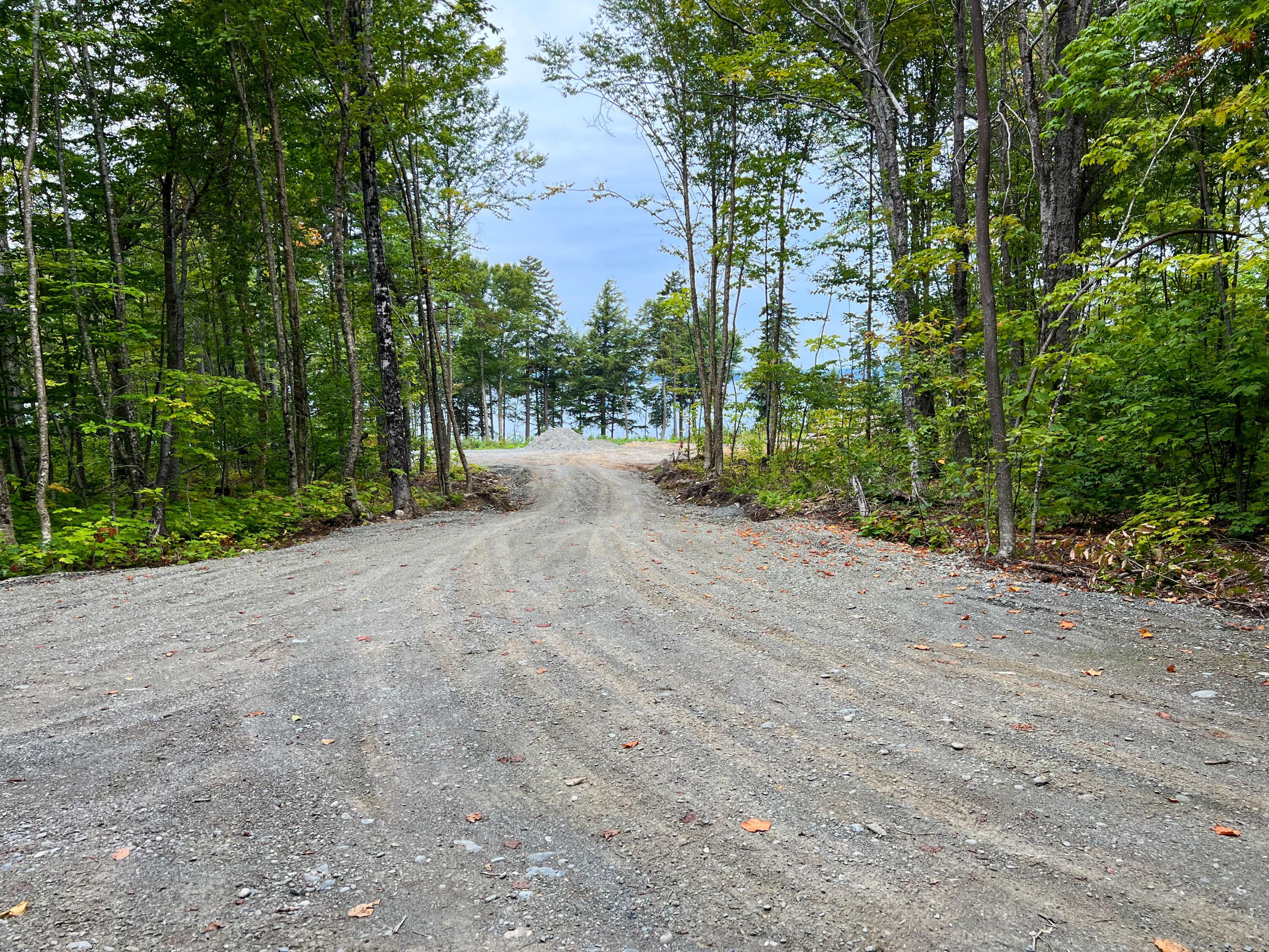 Lot 78 Norcross Brook Road Northeast Carry Twp ME 04441