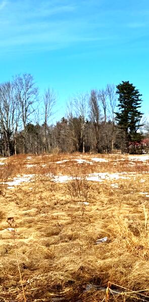 30 Curtis Farm Road Buxton ME 04093