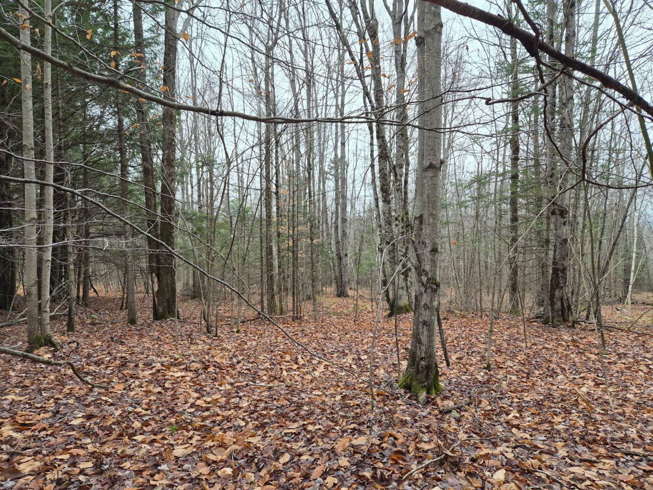 MU23 L19b Holley Road Farmington ME 04938