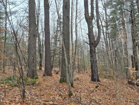 MU23 L19b Holley Road Farmington ME 04938