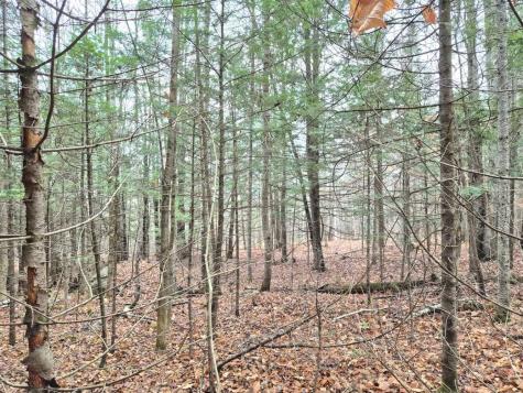 MU23 L19b Holley Road Farmington ME 04938