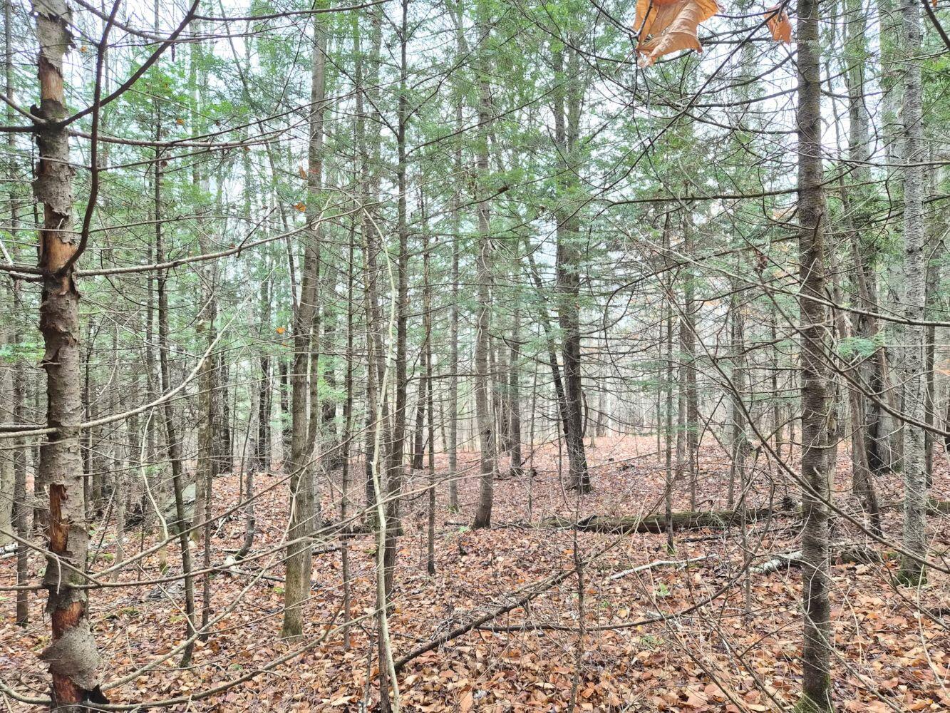 MU23 L19b Holley Road Farmington ME 04938