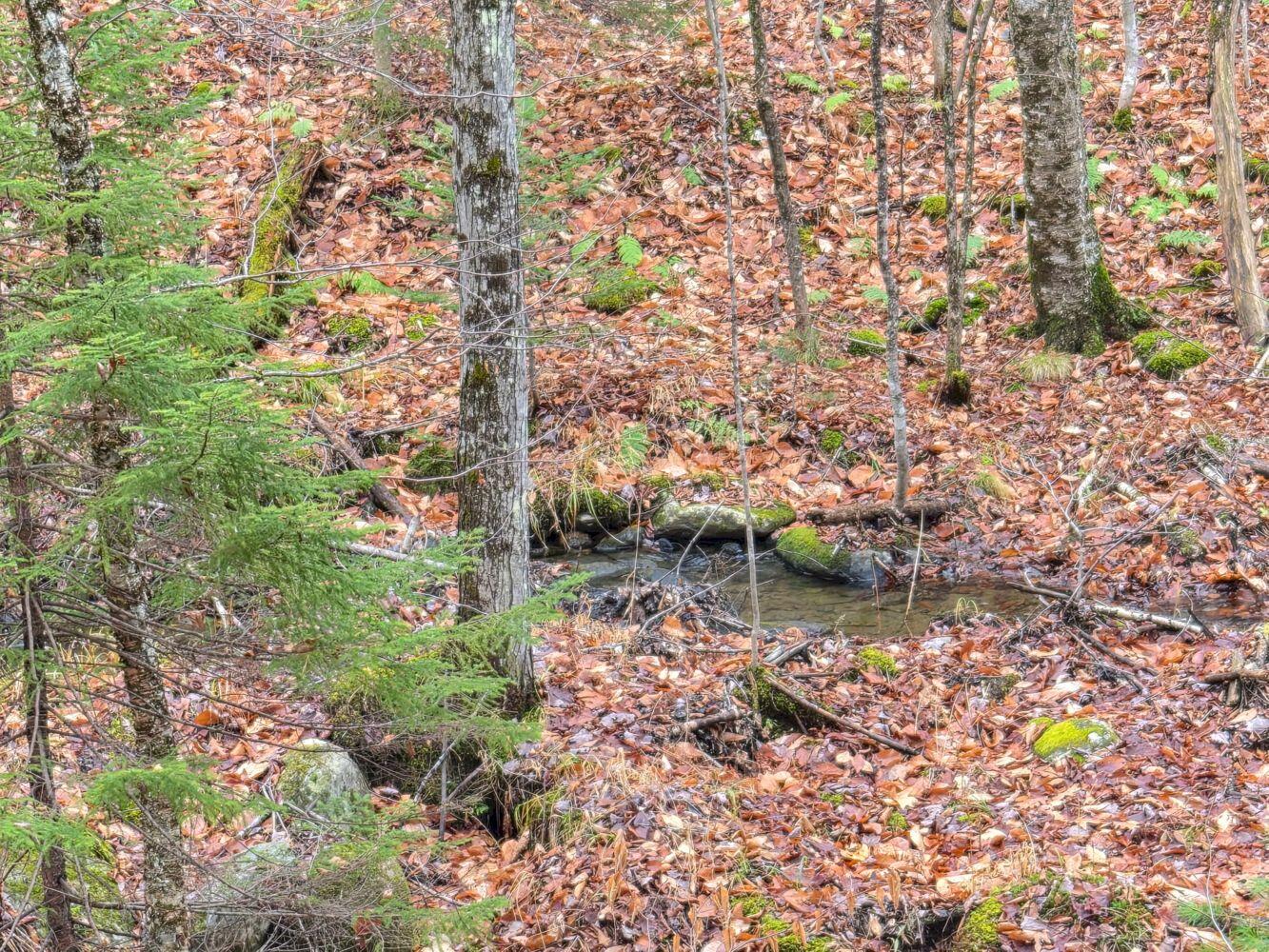 MU23 L19b Holley Road Farmington ME 04938