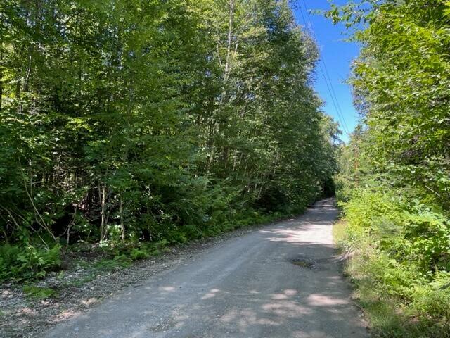 Lot A West Richardson Pond Road Lincoln Plt ME 04970