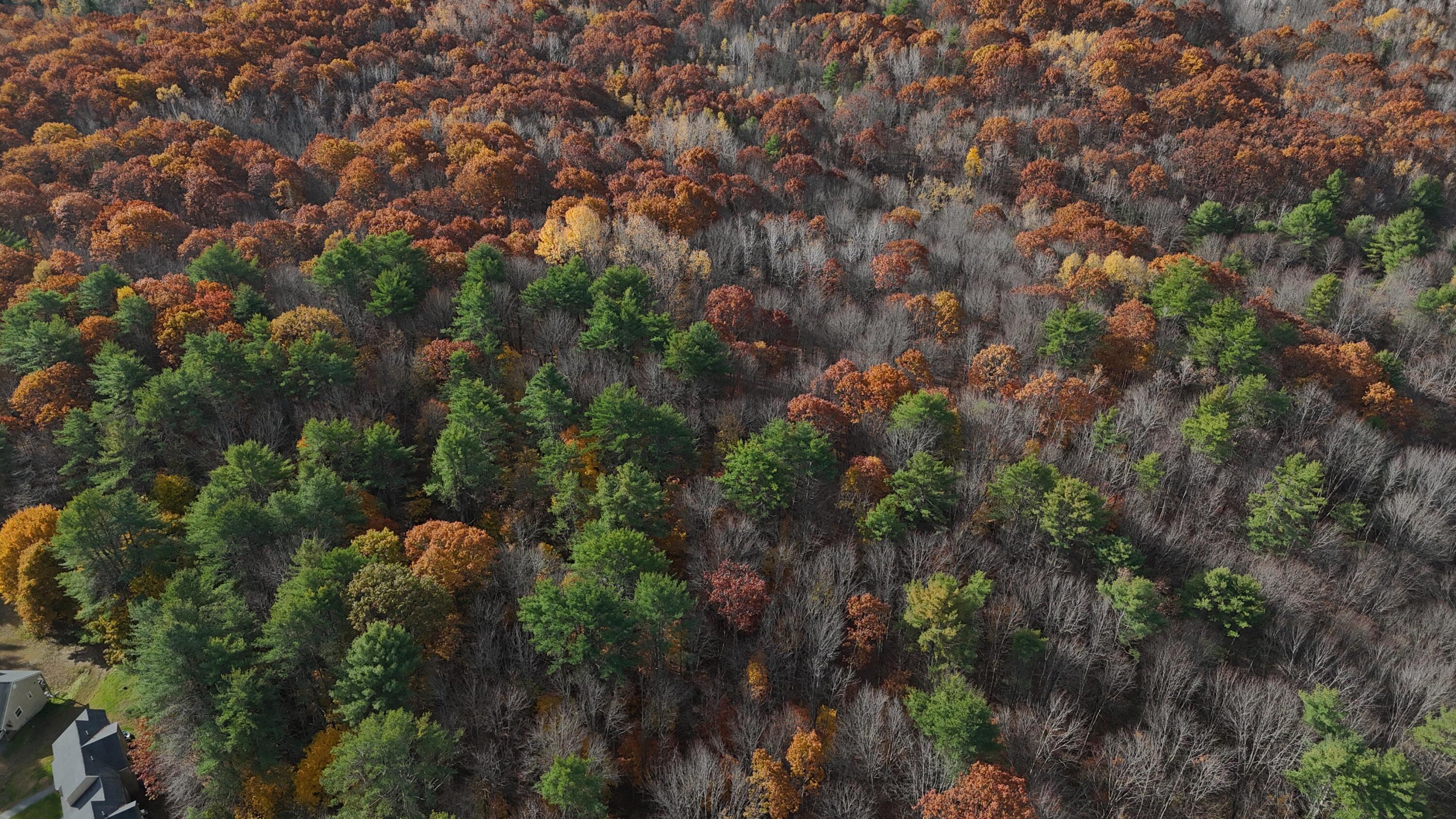 M.R6 Lot18 Lisbon Street Lisbon ME 04250