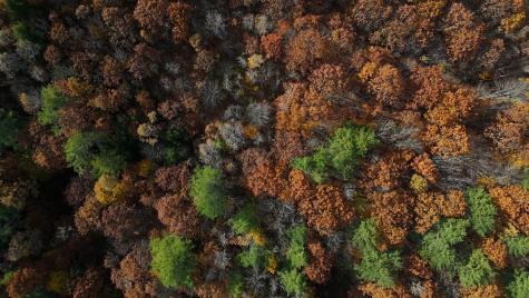 M.R6 Lot18 Lisbon Street Lisbon ME 04250