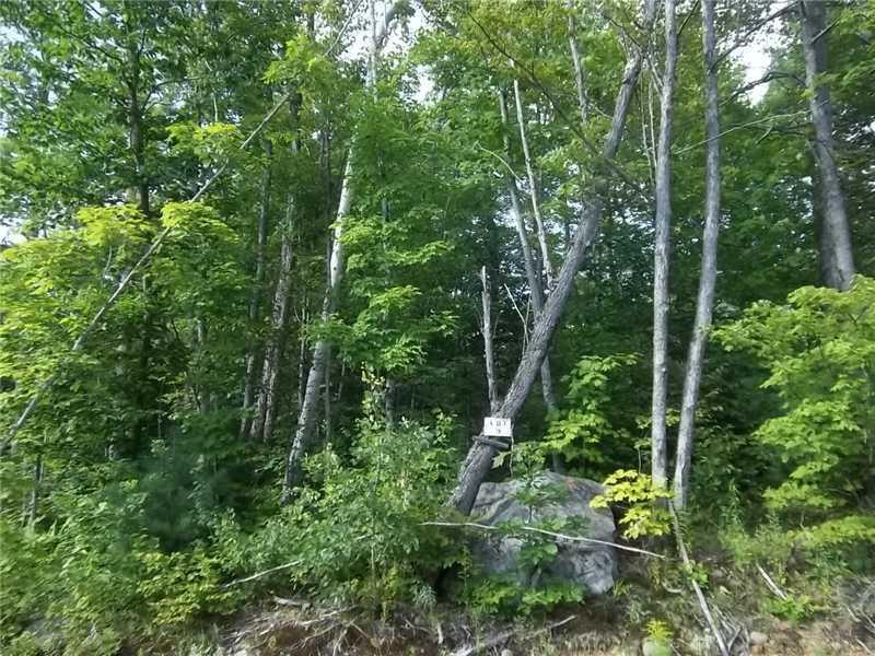 9 Mooseley Ridge Road Phillips ME 04970