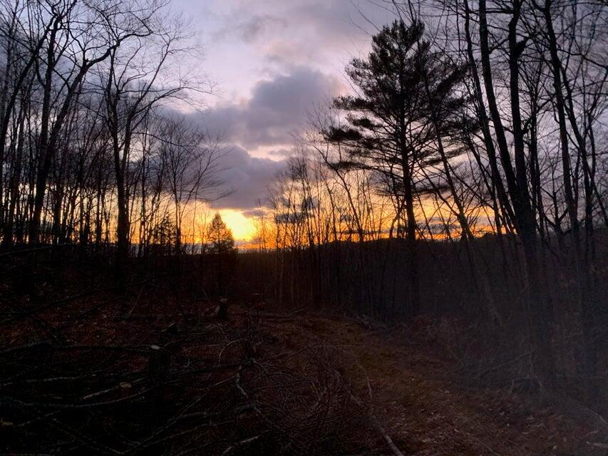 R05-0023 Tripptown Road Hiram ME 04041