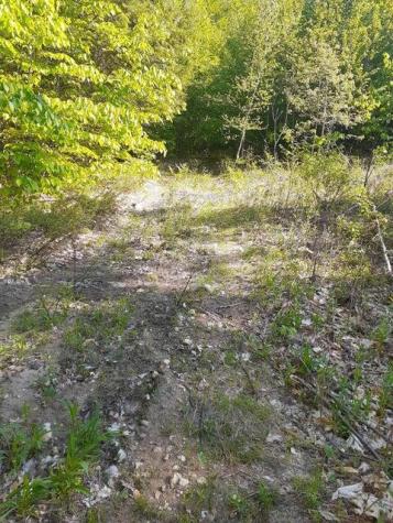R05-0023 Tripptown Road Hiram ME 04041