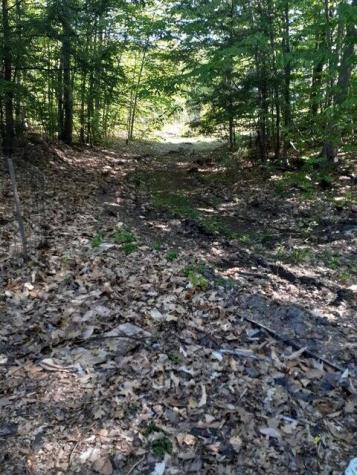 R05-0023 Tripptown Road Hiram ME 04041