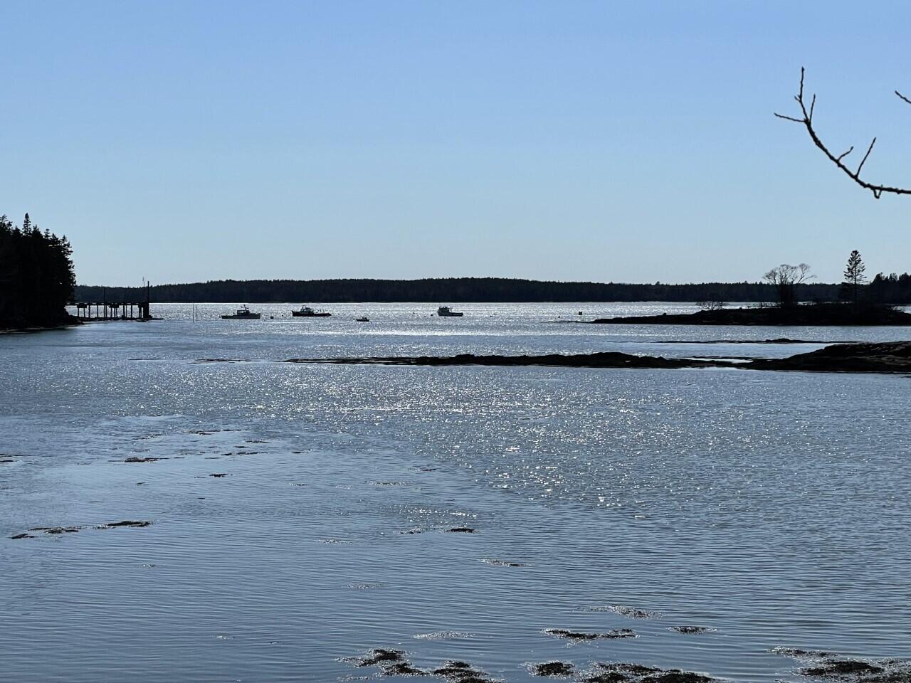 Lot 15-5 Fort Williams Road Harrington ME 04643