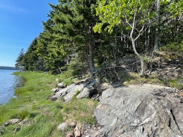 Lot 15-5 Fort Williams Road Harrington ME 04643