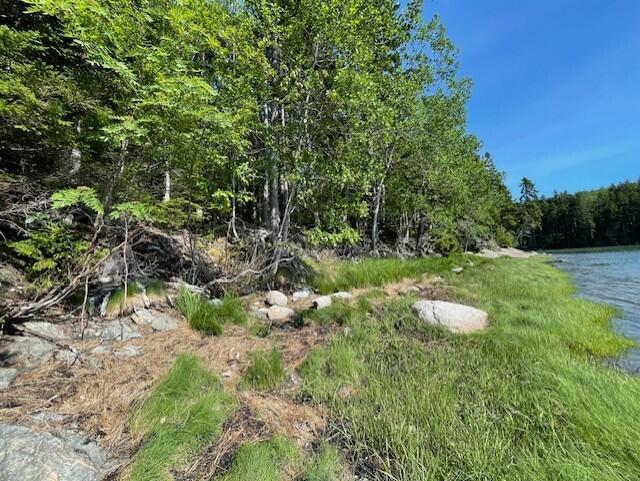 Lot 15-5 Fort Williams Road Harrington ME 04643