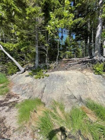 Lot 15-5 Fort Williams Road Harrington ME 04643
