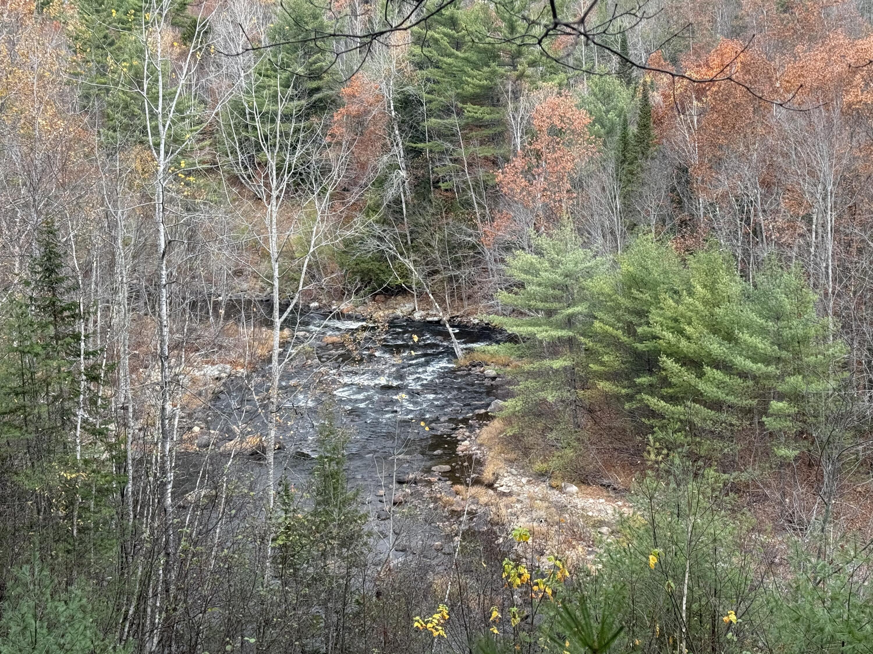 L50 Storer Hill Road Carthage ME 04224