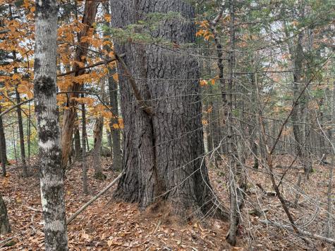 L50 Storer Hill Road Carthage ME 04224