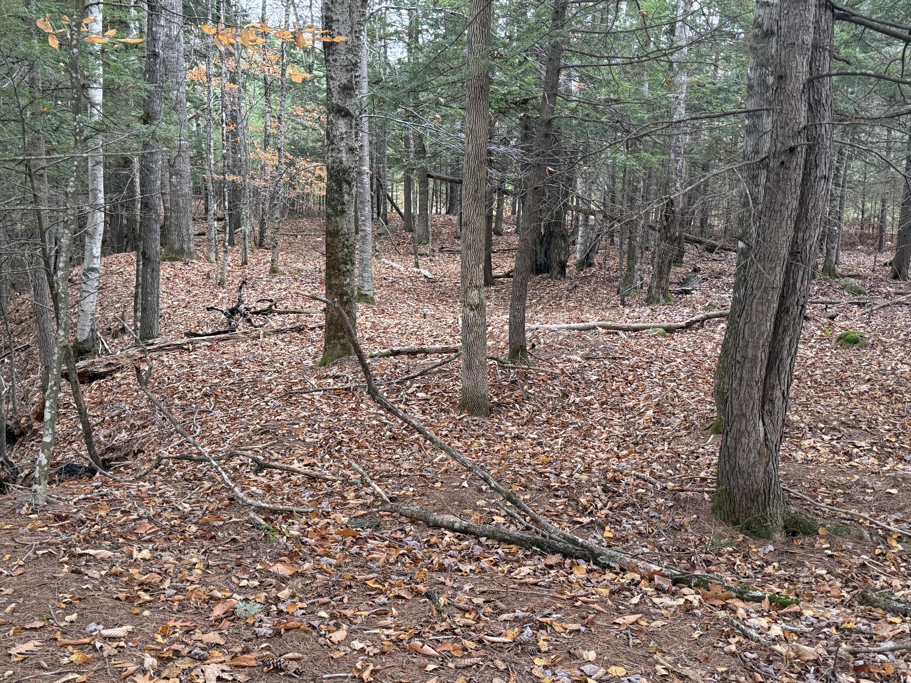 L50 Storer Hill Road Carthage ME 04224