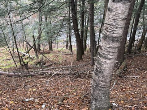 L50 Storer Hill Road Carthage ME 04224