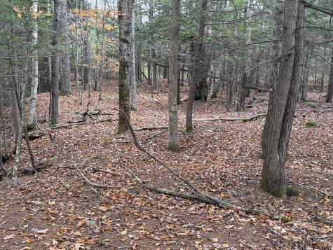 L50 Storer Hill Road Carthage ME 04224