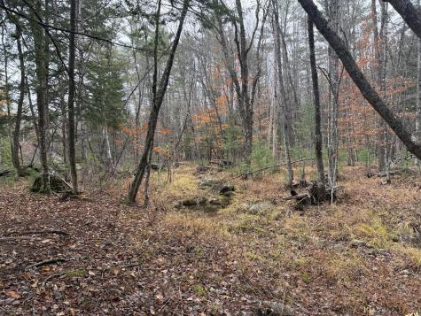 L50 Storer Hill Road Carthage ME 04224