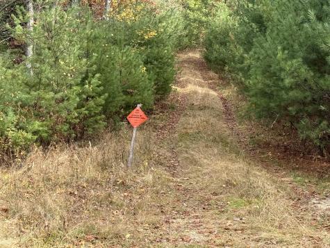 L50 Storer Hill Road Carthage ME 04224