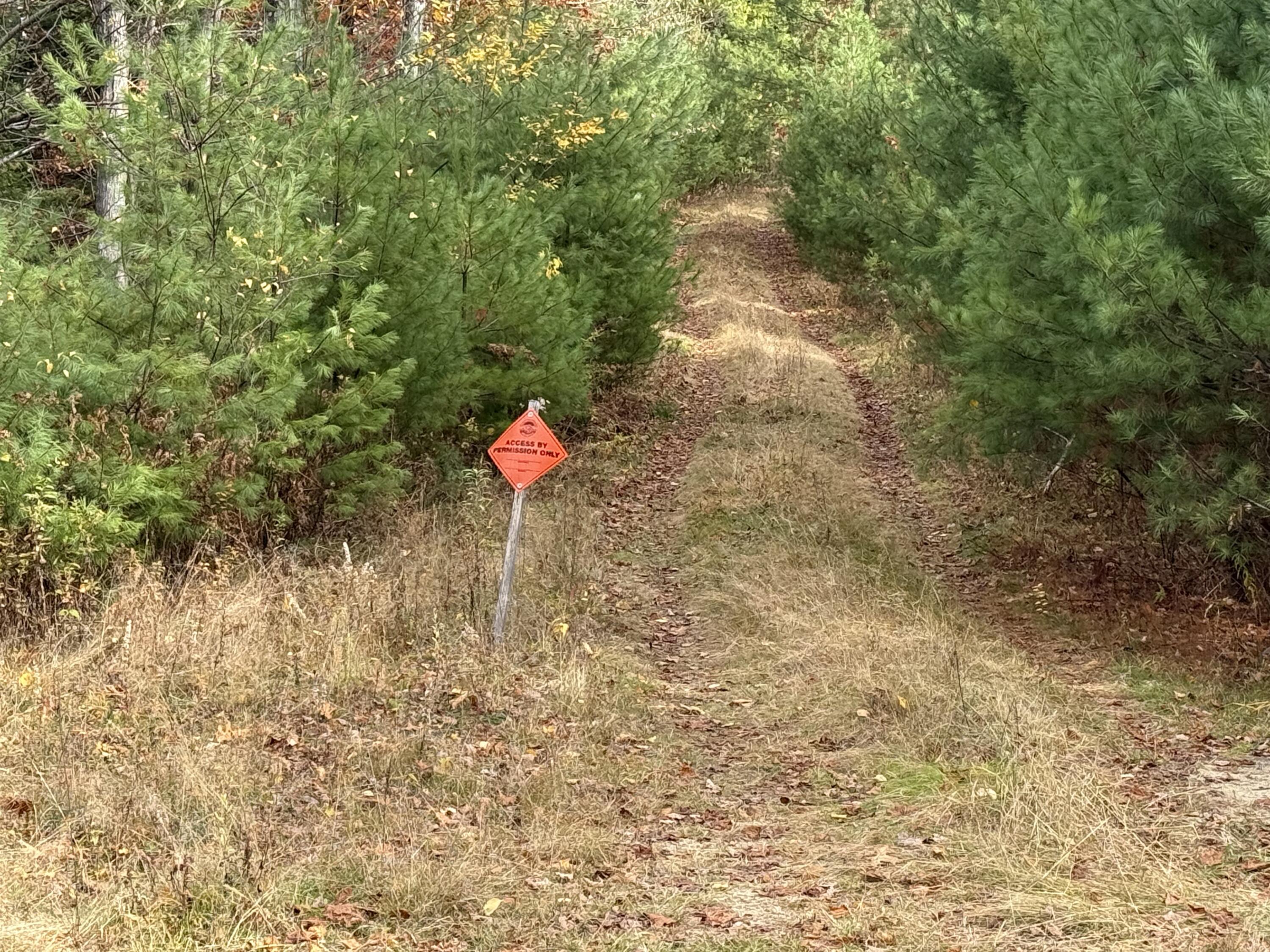 L50 Storer Hill Road Carthage ME 04224