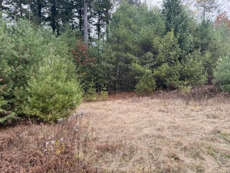 L50 Storer Hill Road Carthage ME 04224