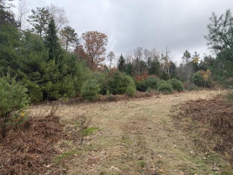 L50 Storer Hill Road Carthage ME 04224