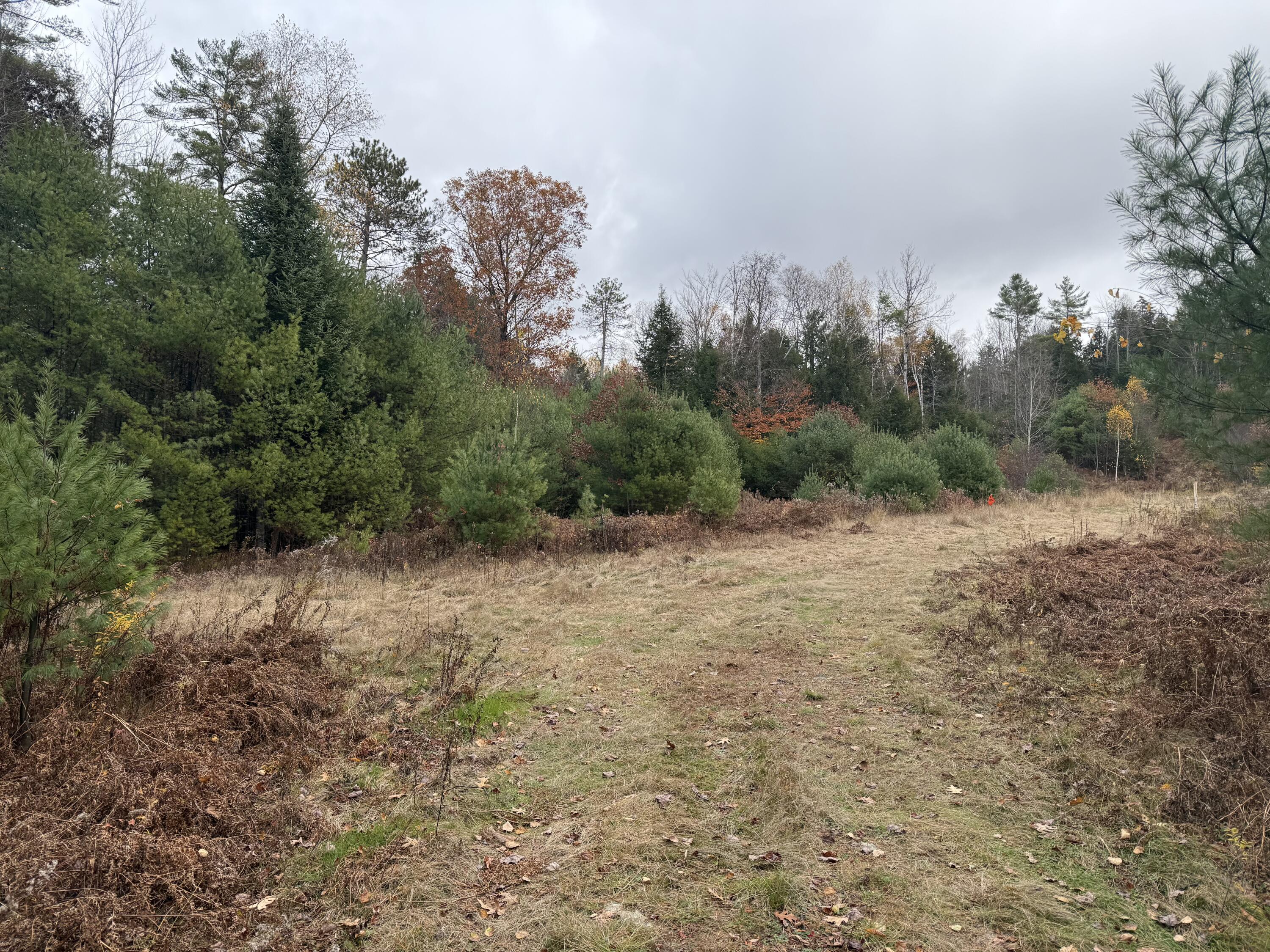 L50 Storer Hill Road Carthage ME 04224